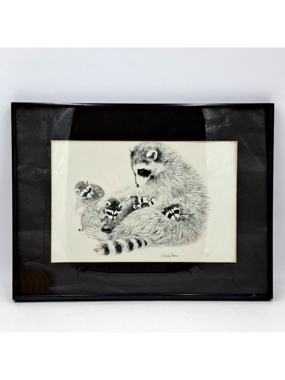 Raccoons  by Jan Sharkey Thomas  Canadian Wildlife Artist-16 x 12 Inches  Framed